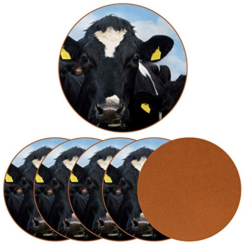 Bennigiry Etiquetas de oído de Vaca frisona de Granja de Vacas en Irlanda de Cuero Tapetes Redondos Resistentes al Calor para Tazas Taza de café Tapetes Individuales para Tazas de Vidrio, 6 Piezas