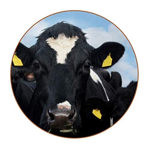 Bennigiry Etiquetas de oído de Vaca frisona de Granja de Vacas en Irlanda de Cuero Tapetes Redondos Resistentes al Calor para Tazas Taza de café Tapetes Individuales para Tazas de Vidrio, 6 Piezas