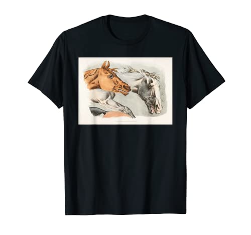 Blanco y marrón caballos de la ilustración deportiva Henry Alken Camiseta
