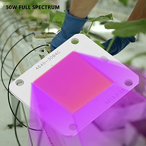 BOLORAMO 50W 12V Grow Light, Aluminio superconductor de Espectro Completo Grow Light para Plantas de Interior