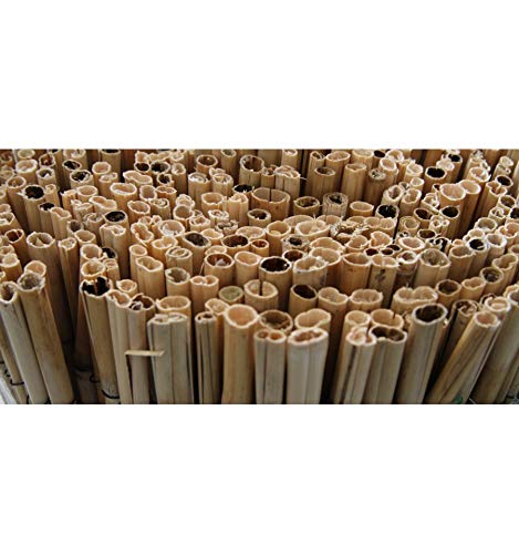BONERVA Bambu CAÑA Completa (1X5 M)