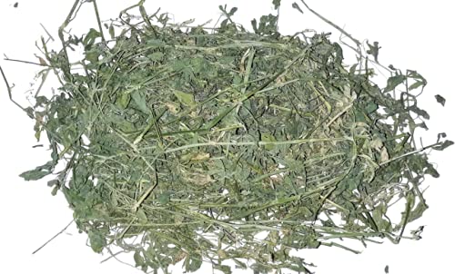 Book-A-Bale 1 kg Heno de Alfalfa de Calidad - Fresco Directamente del Agricultor en España