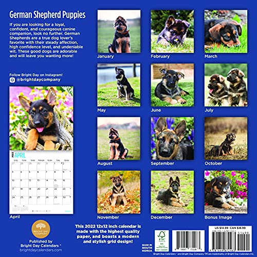 Bright Day - Calendario de pared para cachorros de pastor alemán de 2022, 30,5 x 30,5 cm, bonito perro