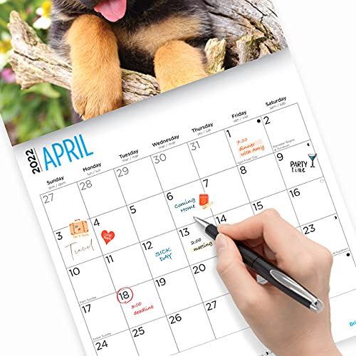 Bright Day - Calendario de pared para cachorros de pastor alemán de 2022, 30,5 x 30,5 cm, bonito perro