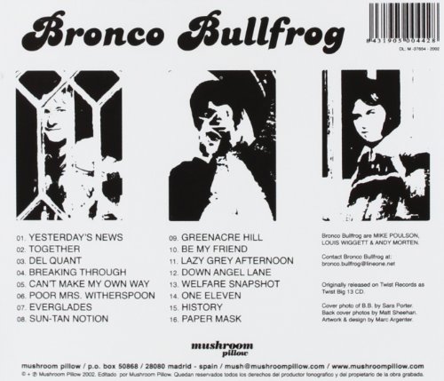 Bronco Bullfrog