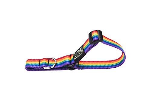 bub's Collar Especial Galgo - Collar para Perro Mediano/pequeño. para Todo Tipo de Razas de Perro y Especialmente para Galgos (Comprobar tamaño: Cuello 22 a 35). Color Rainbow.