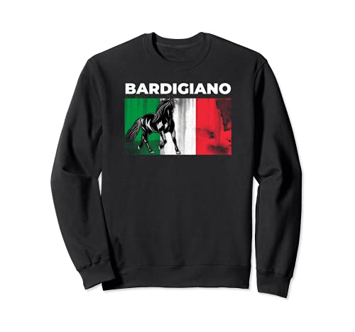 Caballo italiano Bardigiano Sudadera