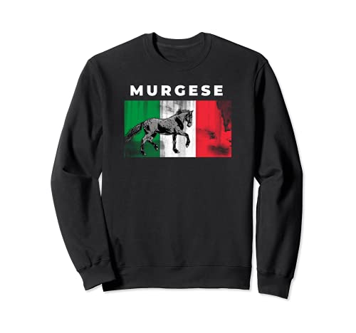 Caballo italiano murgés Sudadera