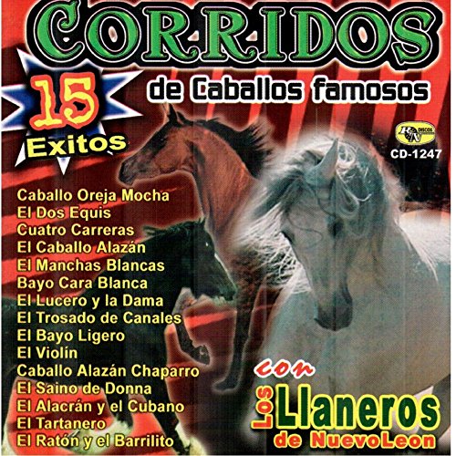 Caballo oreja Mocha