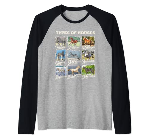 Camiseta de caballo Tipos de razas de caballos Cabalgata Camiseta Manga Raglan