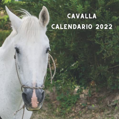 Cavalla Calendario 2022: Festività Italia | 12 Mesi Con Foto di bei | Cavalla Calendario 2022 Regali Per Amanti Dei Cani, Uomo & Donna