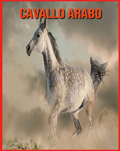 Cavallo Arabo: Immagini incredibili e fatti divertenti sui Cavallo Arabo