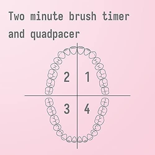 Cepillos de Dientes Electricos, ObeOral Cepillo de dientes sónico recargable para Adultos con temporizador de 2 minutos, 5 modos, 4 cabezales de cepillo , Carga 3 Horas por 45 Días, Color Rosa