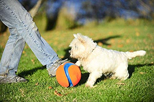 Chuckit! 251201 Kick Fetch Balón de Fútbol para Perros, L