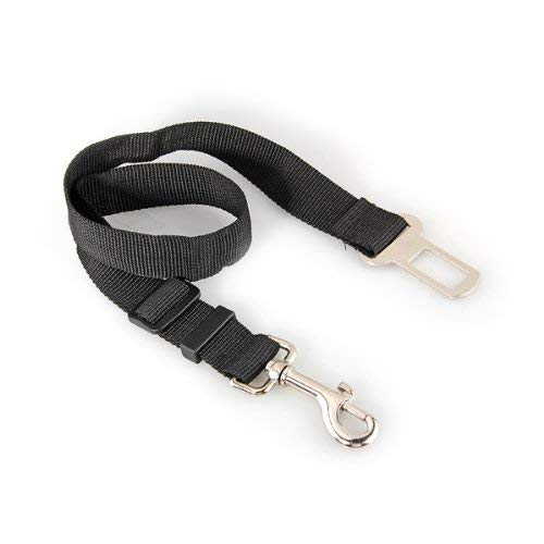 Cinturón de seguridad de coche para perro, ajustable, color negro, 70 cm