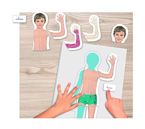 Clementoni-55292 - Montessori - El Cuerpo Humano - juego educativo montessori a partir de 3 años