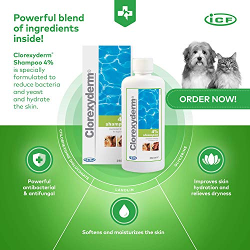 Clorexyderm Champú para Perros, Cachorros y Gatos con picores - Antibacteriano y antifúngico, 4% clorhexidina - 250ml