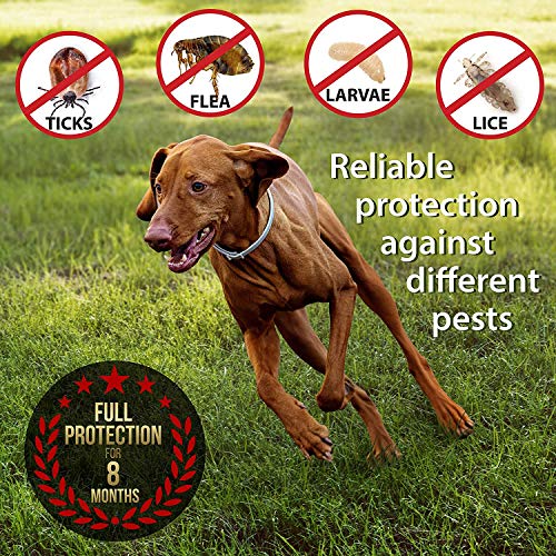 Collar ajustable para pulgas y garrapatas para perros pequeños, medianos y grandes | Impermeable | Tratamiento de pulgas | Protección hasta 8 meses | 100% Natural BIO Organico