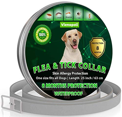 Collar ajustable para pulgas y garrapatas para perros pequeños, medianos y grandes | Impermeable | Tratamiento de pulgas | Protección hasta 8 meses | 100% Natural BIO Organico
