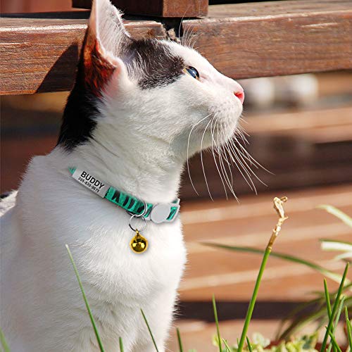 Collar Gato Personalizado con Cascabel, 1 Paquete, Liberación Rápida Collar Antiahogo para Gatos y Gatito, Verde