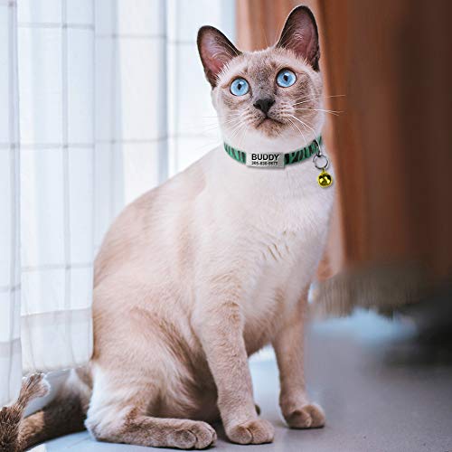 Collar Gato Personalizado con Cascabel, 1 Paquete, Liberación Rápida Collar Antiahogo para Gatos y Gatito, Verde