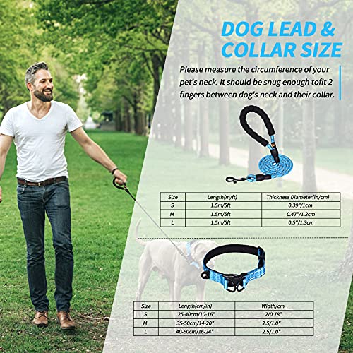 Collar Perro Ajustable,con Correa Perro,Collar Nylon Reflectante,1.5m Correas para Perros, para Caminar Correr Entrenamiento,para Perros Pequeños,Azul,2.5cm De Ancho