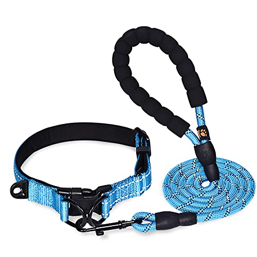 Collar Perro Ajustable,con Correa Perro,Collar Nylon Reflectante,1.5m Correas para Perros, para Caminar Correr Entrenamiento,para Perros Pequeños,Azul,2.5cm De Ancho