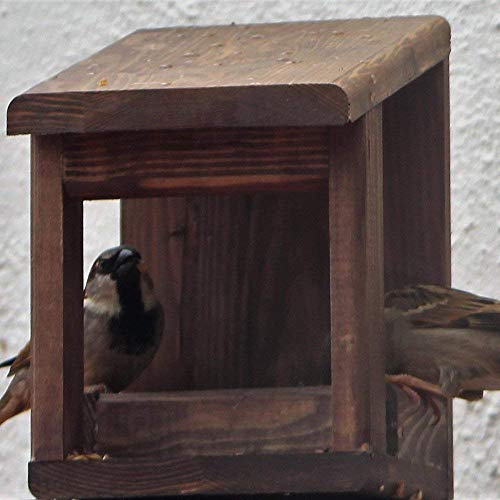 Comedero para pájaros 'Wengué'