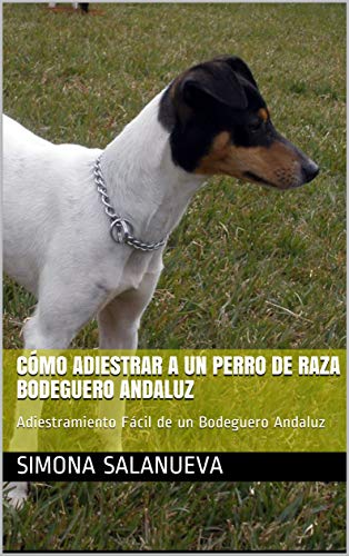 Cómo Adiestrar a Un Perro de Raza Bodeguero Andaluz : Adiestramiento Fácil de un Bodeguero Andaluz