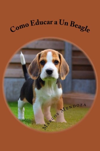 Como Educar a Un Beagle