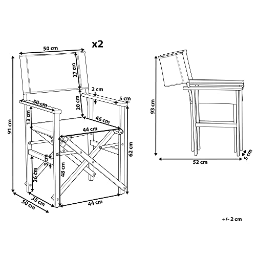 Conjunto de 2 sillas de jardín de Tela de Acacia Gris Madera Clara Plegable Director Cine