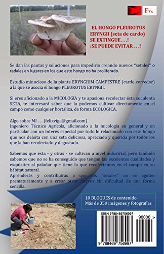 Cultivo de la Seta de Cardo en su habitat natural: Asociacion del hongo Hongo Pleurotus Eryngii y la planta Eryngium Campestre