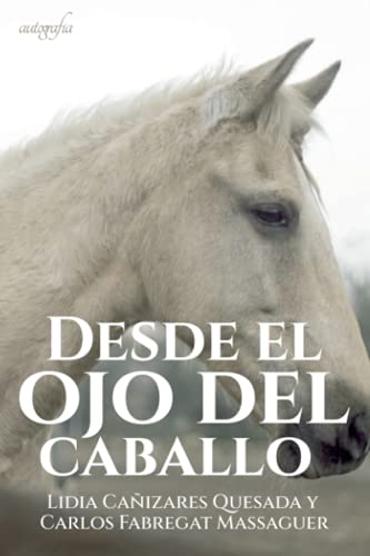 Desde el ojo del caballo