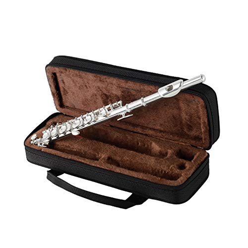 Eastrock Flautín, Llave Piccolo chapada en plata de C Llaves de 2 piezas para principiantes, niños, estudiantes con estuche rígido, varilla de limpieza, paño y guantes