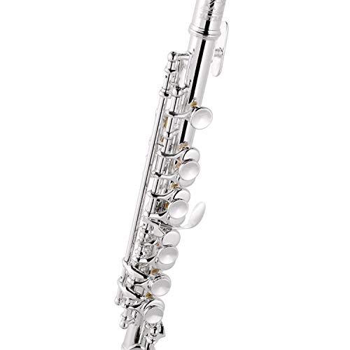 Eastrock Flautín, Llave Piccolo chapada en plata de C Llaves de 2 piezas para principiantes, niños, estudiantes con estuche rígido, varilla de limpieza, paño y guantes