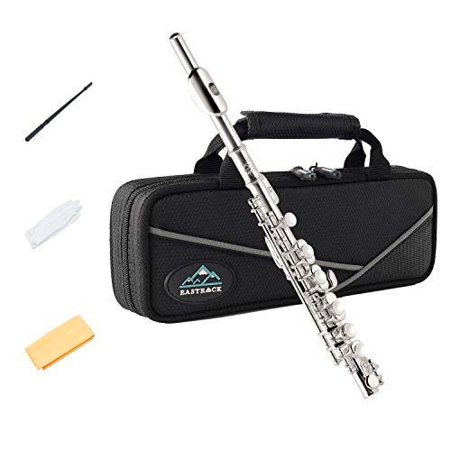 Eastrock Flautín, Llave Piccolo chapada en plata de C Llaves de 2 piezas para principiantes, niños, estudiantes con estuche rígido, varilla de limpieza, paño y guantes