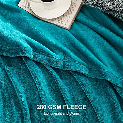 EHEYCIGA Manta Sofa Mantas para Sofa Verde Azulado 130x165 cm Microfibra Suave Acogedora Manta de Lujo para la Cama