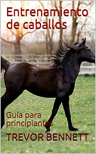 Entrenamiento de caballos: Guía para principiantes
