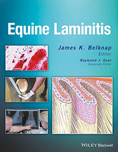 Equine Laminitis (English Edition)