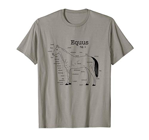 Equus del caballo Anatomía amante del caballo Camiseta