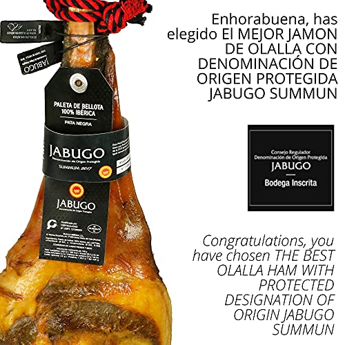 Estuche Paleta de Jamon Iberico de Bellota 100% DOP Jabugo Summun - Sobres Loncheados 100 gr Jamon de Jabugo Pata Negra Cortado a mano y Envasados al Vacio - Regalos Ibericos Gourmet - 1 kg