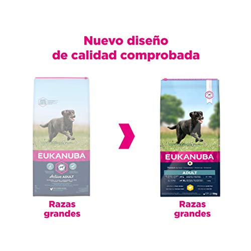 Eukanuba Alimento seco para perros adultos activos de raza grande, rico en pollo fresco 15 kg