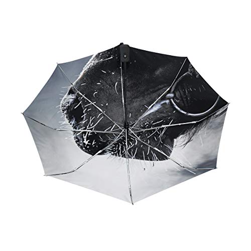 FANTAZIO Paraguas de viaje transparente boca de caballo paraguas abierto automático ligero