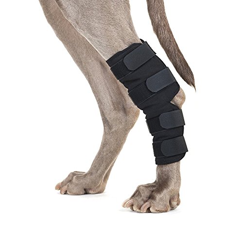 Férula para corvejón depata trasera de perro, protege las heridas, ayuda a sanar y sirve de soporte para esguinces causados(1 par)