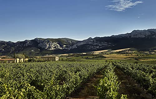 Finca Martelo - Vino Tinto Reserva 2015 D.O Rioja Alavesa | Tempranillo, Mazuelo, Garnacha y Viura | Pack Estuche 6 Botellas 75 cl