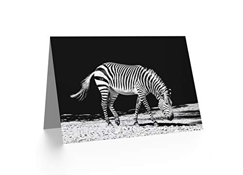 Fine Art Prints Lone Zebra BW - Tarjeta de felicitación