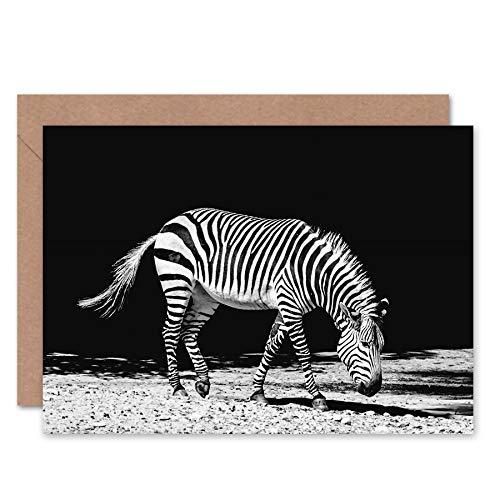 Fine Art Prints Lone Zebra BW - Tarjeta de felicitación