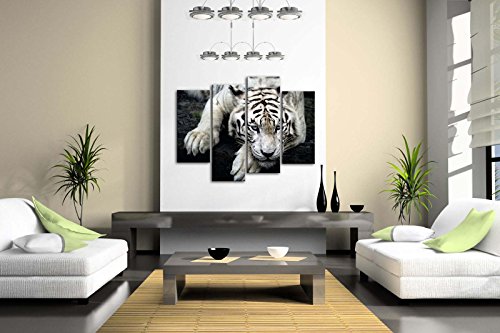 Firstwallart - Impresión sobre Lienzo de Foto de Tigre Blanco Tumbado sobre Roca para Moderna decoración de hogar