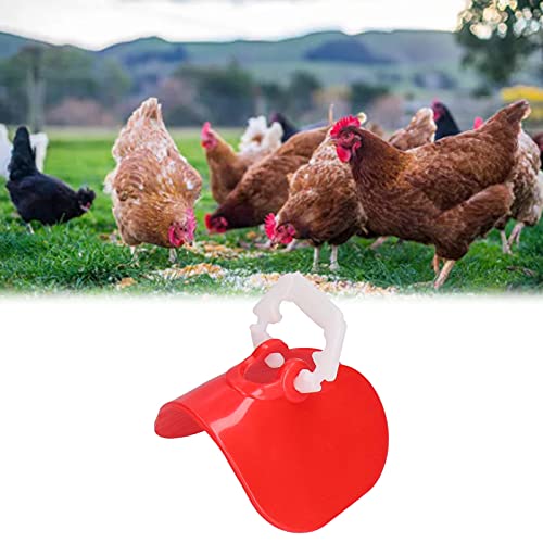 Gafas de Pollo, Anteojeras de Aves de Corral Anti Picotazos PP Ampliamente Utilizado Resistente Al Desgaste con Tapones para Granjas para Granjas de Pollos(Vasos de pollo de película grande)