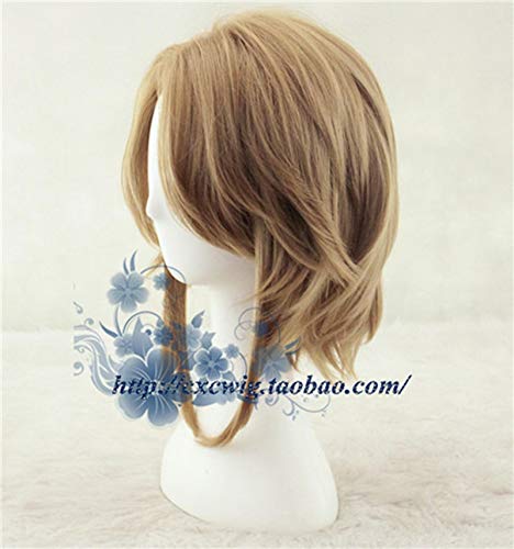 Game Legend of Zelda Link Brown wig Comic-con Cosplay Wig Link Role Play Brown hair costumes
